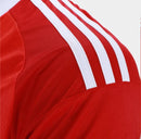 Flamengo Camisa Goleiro Vermelha 25/26 - Versão Torcedor